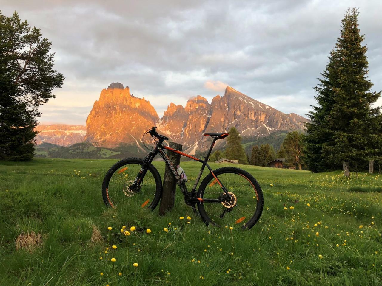 Hotel Saltria - true alpine living Alpe Di Siusi Esterno foto